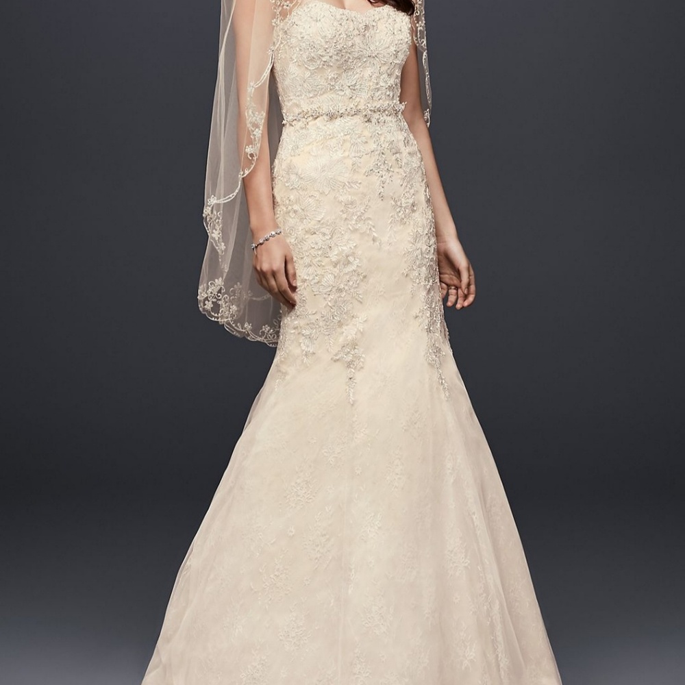 David's Bridal Cream Lace Wedding Dress